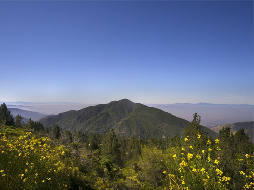 This image is used for San Bernardino National Forest link button